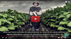 HRW - Plantaciones Tabaco EEUU